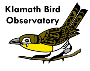 Klamath Bird Observatory
