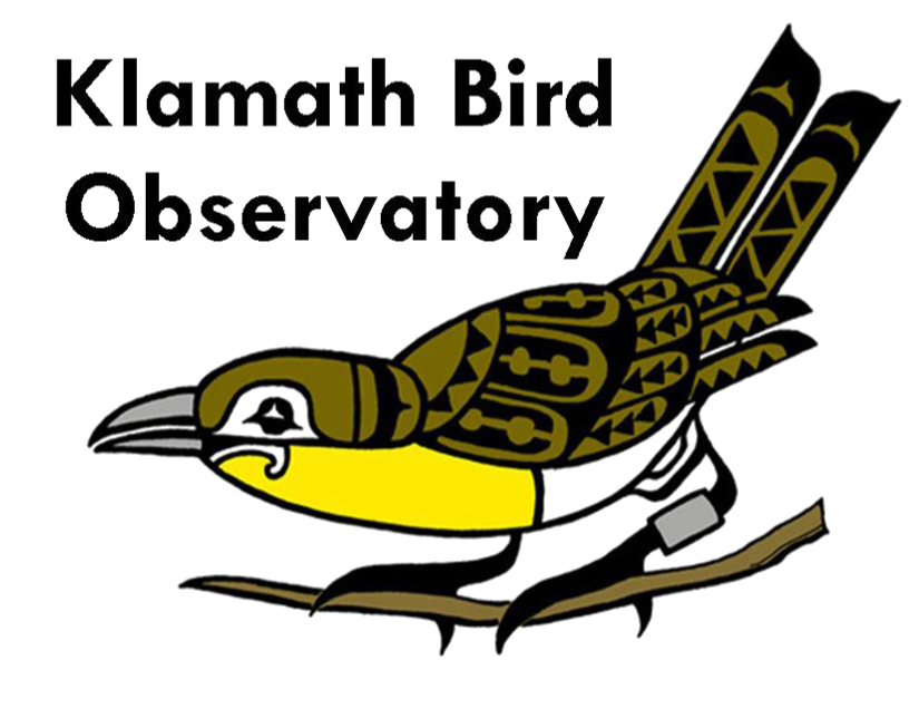 Klamath Bird Observatory 