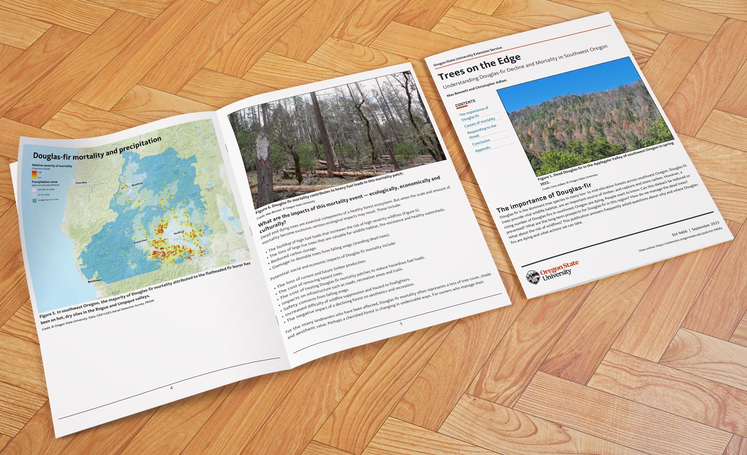 OSU Extension, publication EM9406, Trees on the Edge: Understanding Douglas-fir Decline and Mortality in Southwest Oregon.