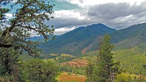 Upper Applegate Watershed Restoration Project with the Rogue Forest Partners