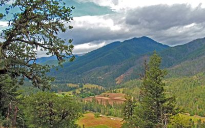 Collaborative Forest Landscape Restoration Program