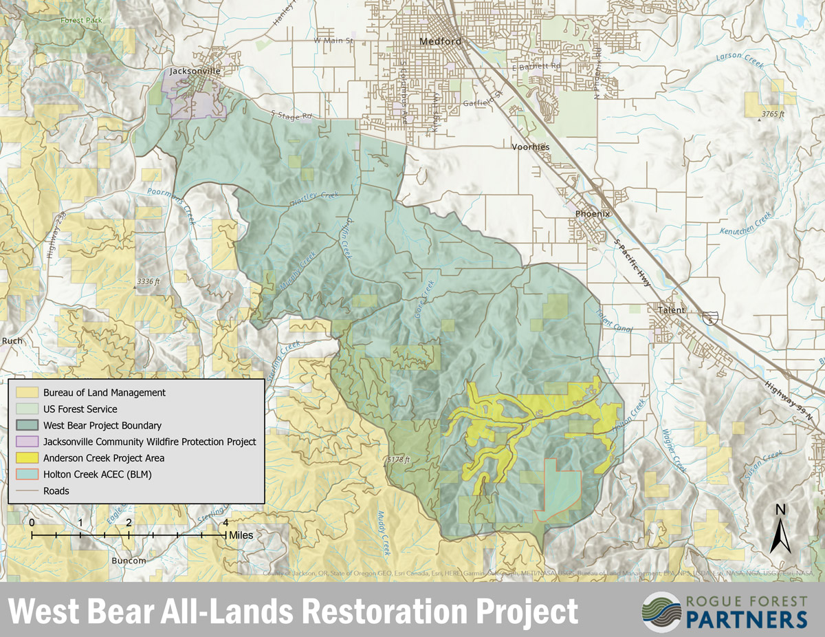 Rogue Forest Partners' West Bear project area
