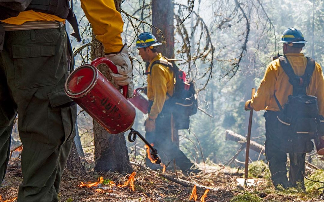 Prescribed Fire Basics with Oregon State University