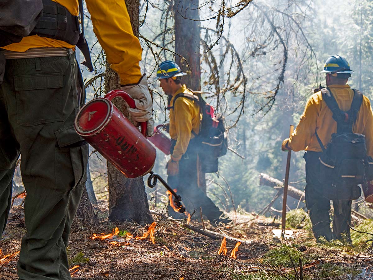 Oregon State University's Prescribed Fire Basics Offers Excellent Resources