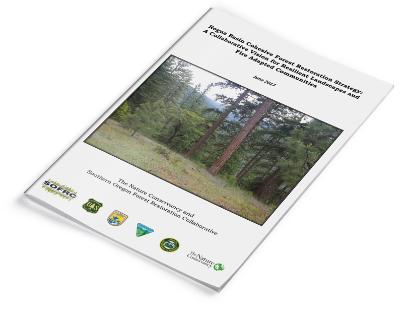 Rogue Basin Cohesive Forest Restoration Strategy document download.